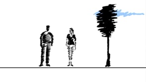 Coffee Creek Center | Level Spreader Animation