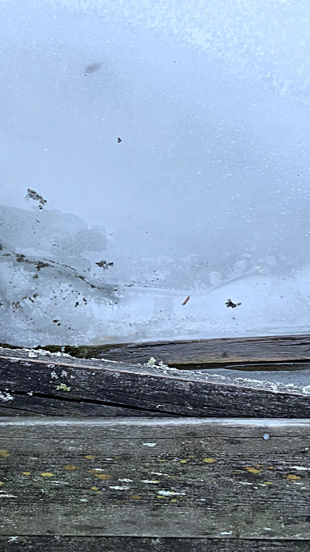 Satisfy × OUR LEGACY WORKSHOP ロンT Lサイズ our legacy シャツ