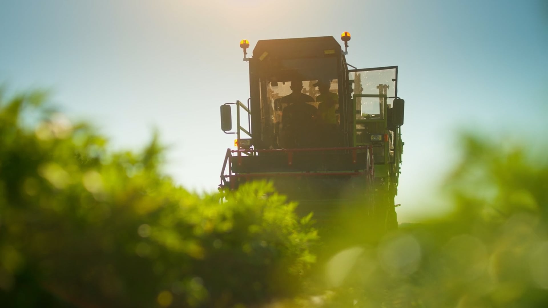 Kurzversion Bergkräuter - Intro