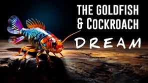 Dec 23, 2023 The Goldfish & Cockroach Dream