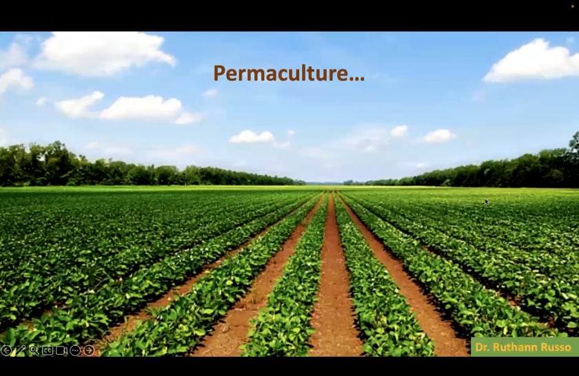 vimeo-video-thumbnail
