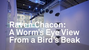 Related Embedded Video Item Thumbnail