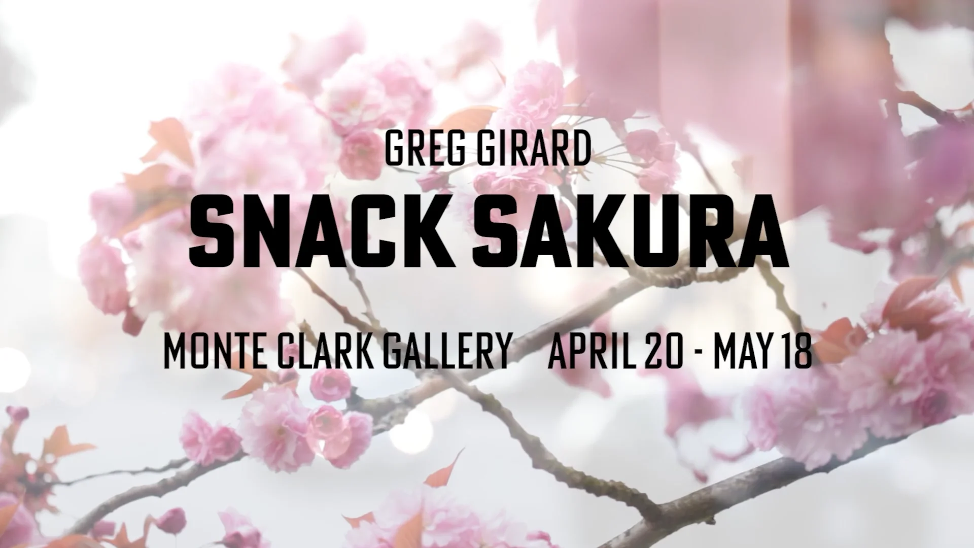Greg Girard | Snack Sakura - Galleries West