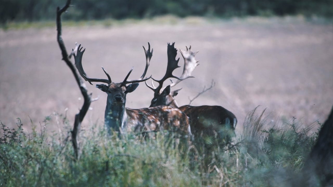 About Mapu Hunting Lodge