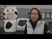 Referente en sostenibilidad y bienestar