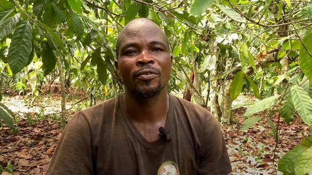 Sous les regards des arbres - Vidéo ePOP