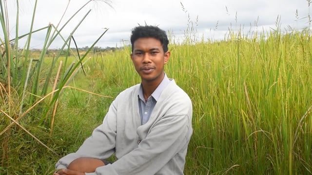 Saisons déboussolées - Vidéo ePOP