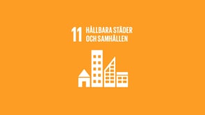 Mål 11