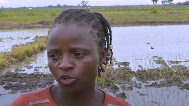 Les larmes du riz - Vidéo ePOP