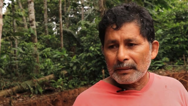 Echos de la nature perdue - Vidéo ePOP