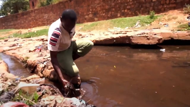Le marigot du Houet - Vidéo ePOP