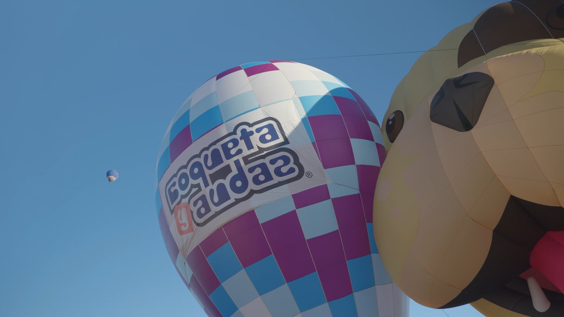 FIG 2023 - Coqueta y Audaz