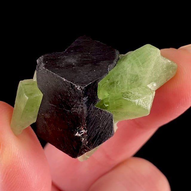 Magnetite (excellent crystal) with Peridot