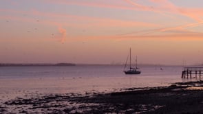 Vignette de la vidéo