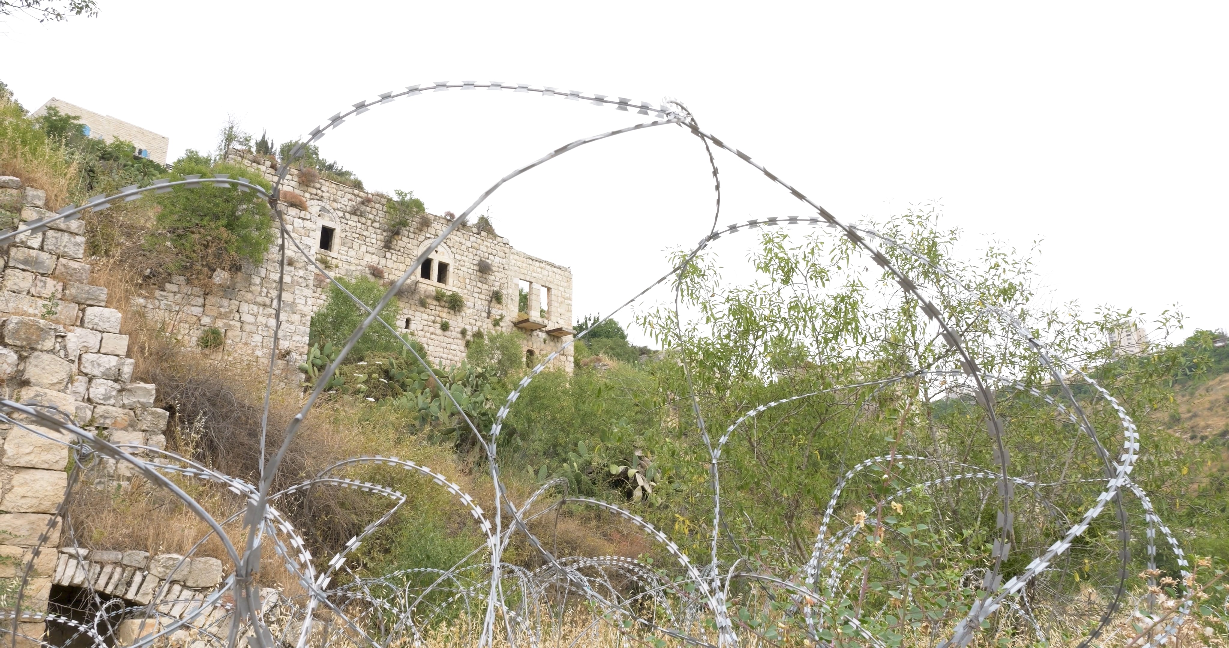 Return to Lifta