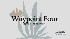 Waypoint 4 Full Version