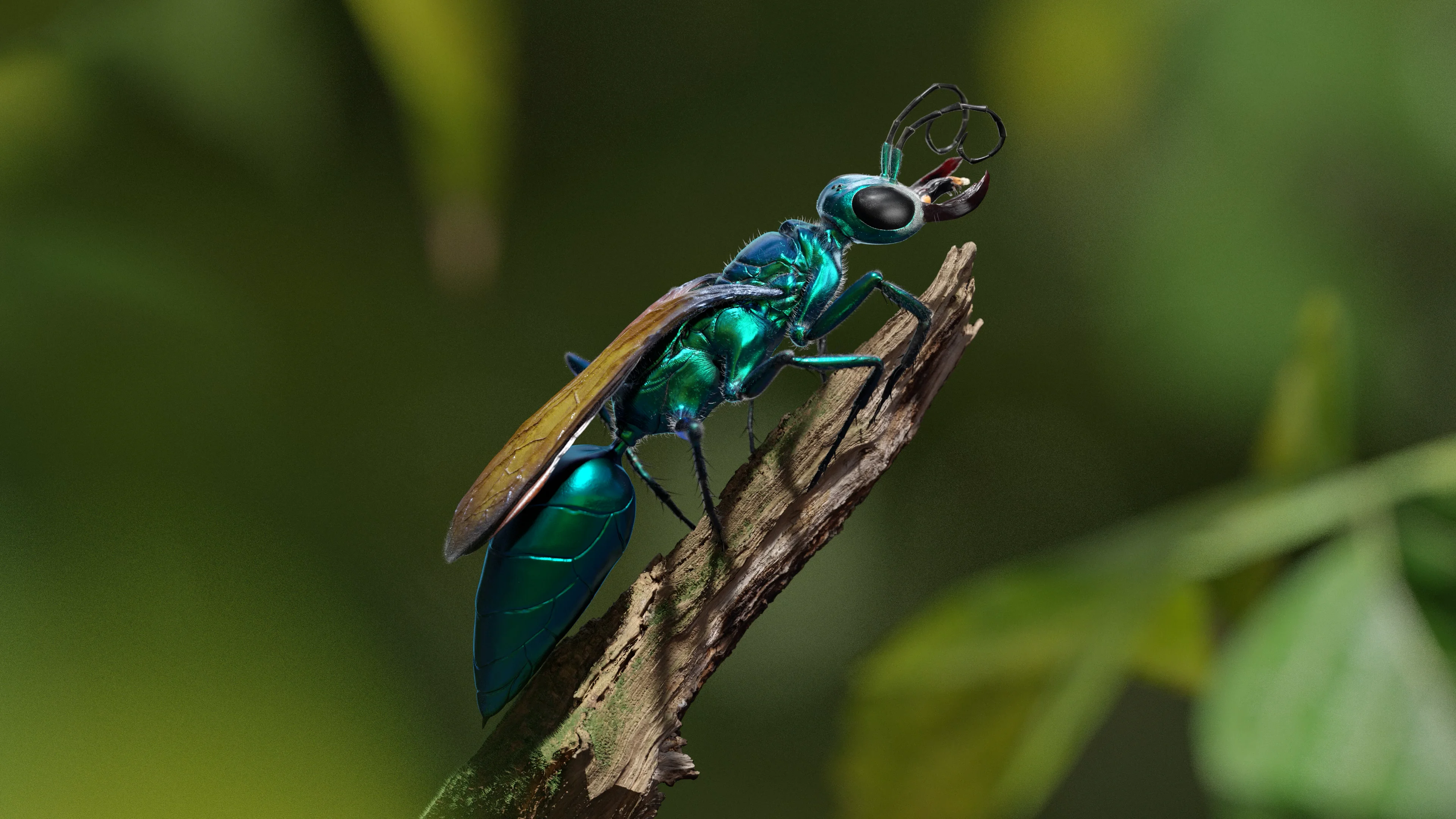 The Rookies - Chlorion lobatum, by fabiennescherer