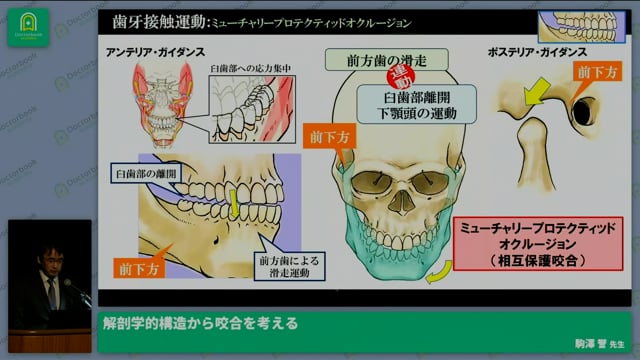 解剖学的構造から咬合を考える│駒澤 誉先生