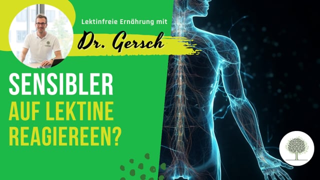 Macht lektinfrei besonders lektinsensibel?