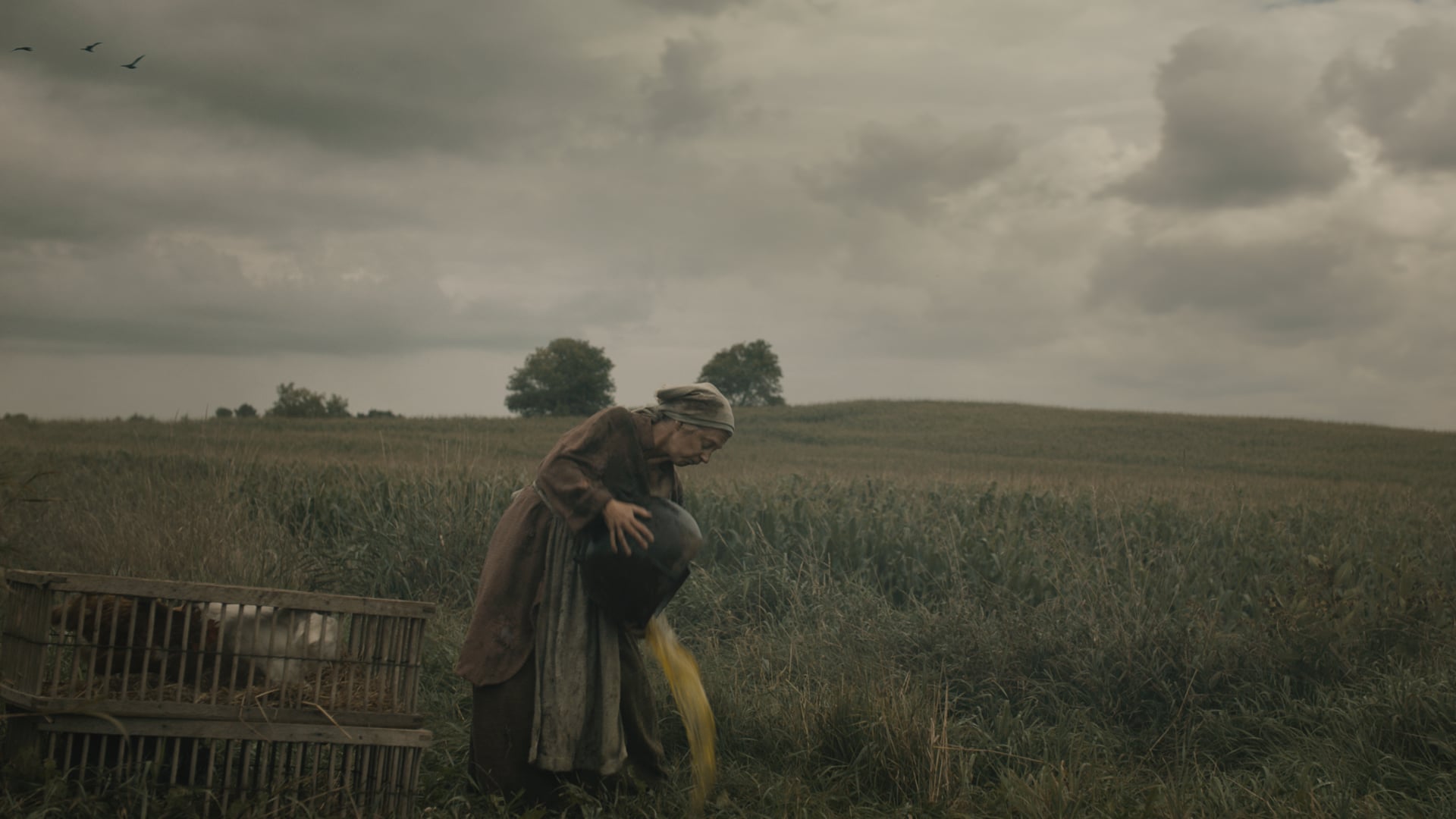 606. Purely Great “Witch” September 2019