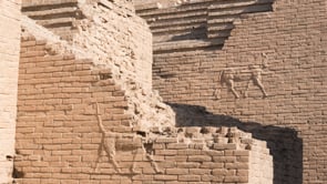 Related Embedded Video Item Thumbnail