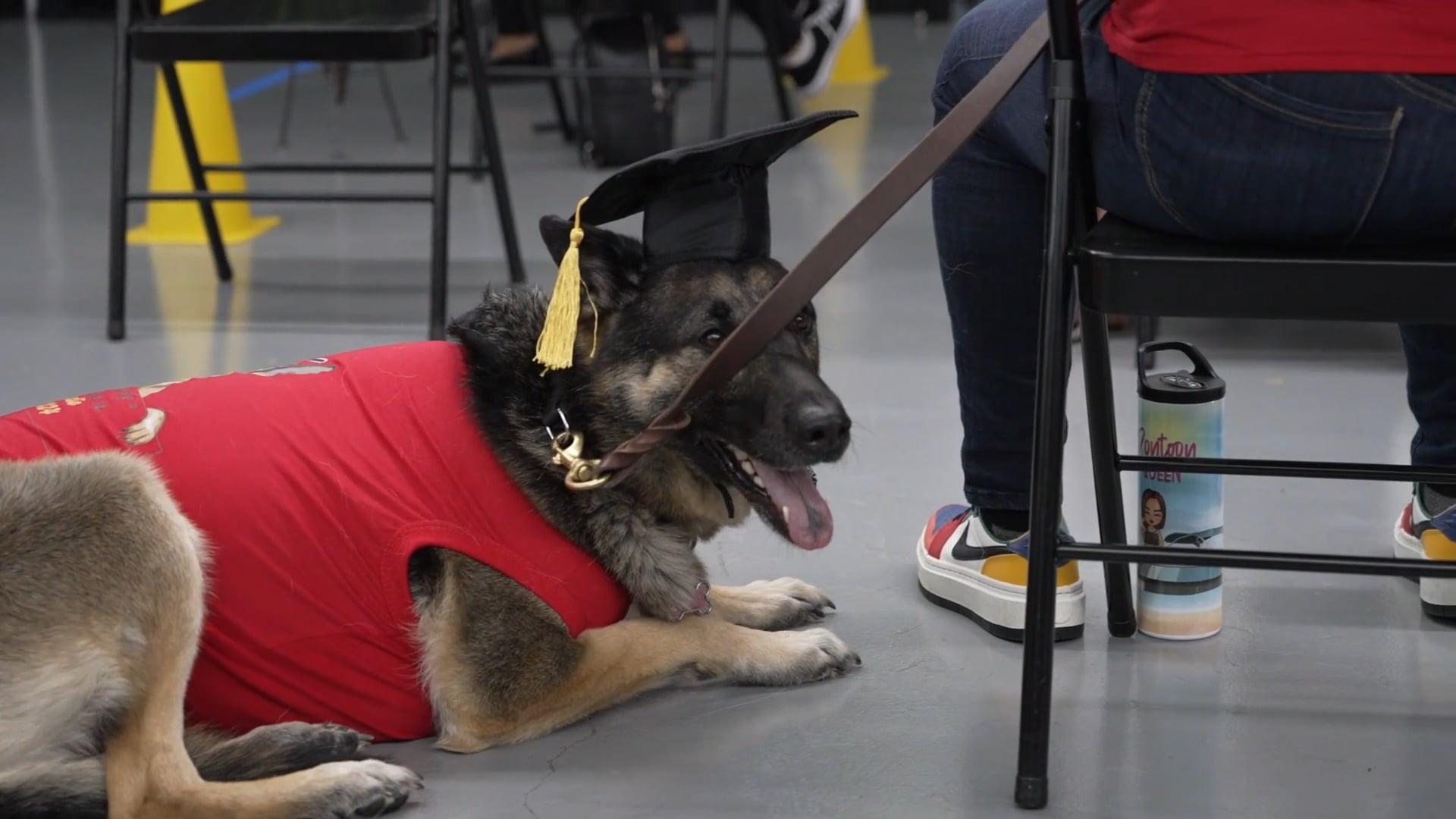 K9 Safety Consultant 2024 Dog Graduation