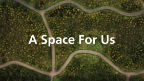 Forest Carbon promotion of   Boston Woods