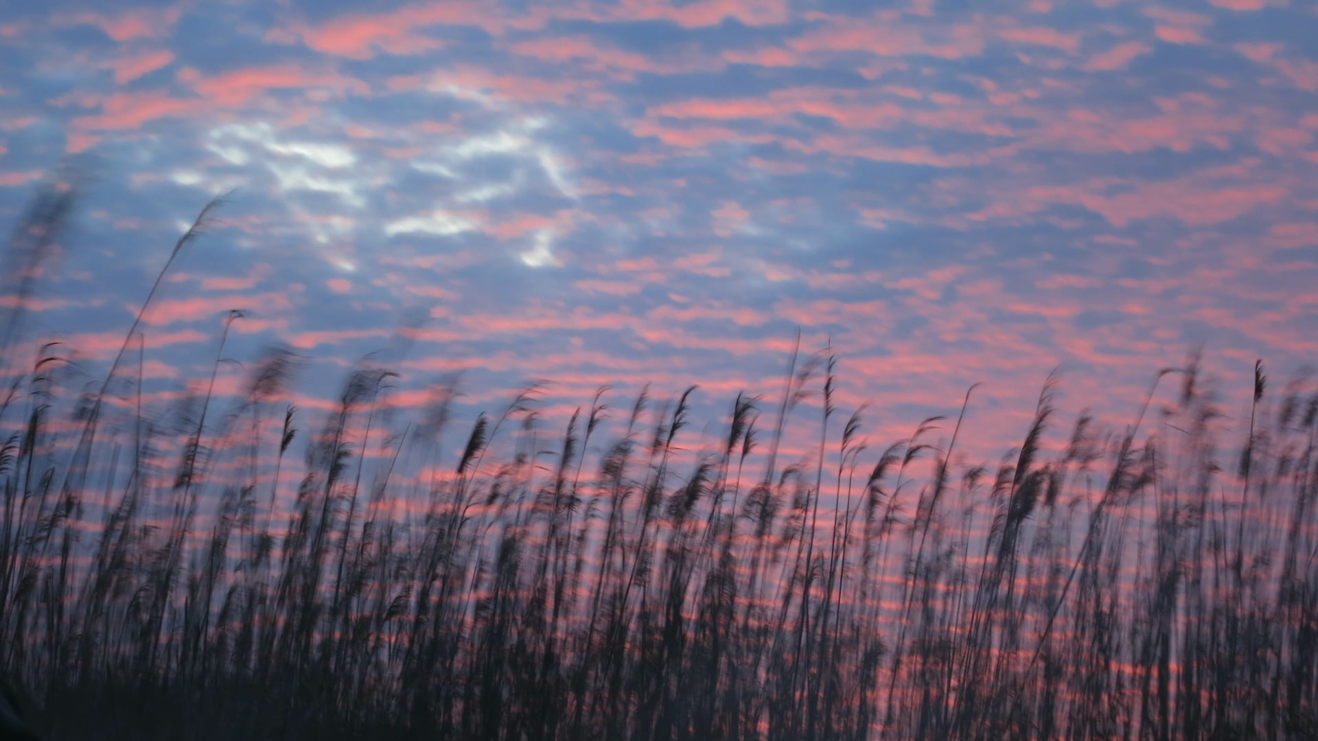 2024 January 17: Developing a Pit Crew for the Heart