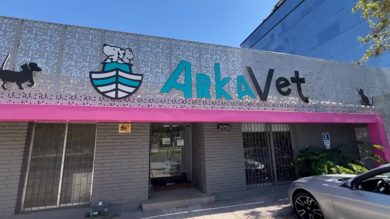 Veterinário Animalis Pet Shop Clínica Veterinaria Familia Adopta - Main Image