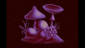 SPORE DUSTER - Procreate Edition, a Brush Add-On by Jordan Warren Visuals (Thumbnail 9 of 9)