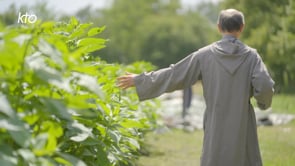 ÉCOLOGIE, LE NOUVEAU SOUFFLE DE L’ÉGLISE