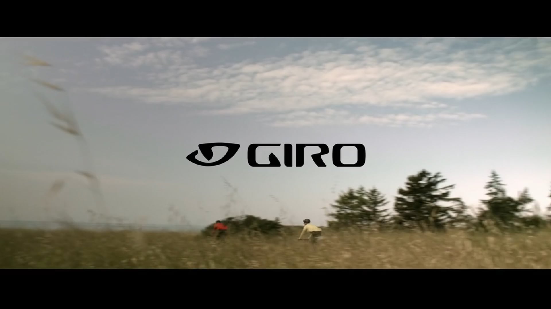 BRANDS/COMMERCIALS