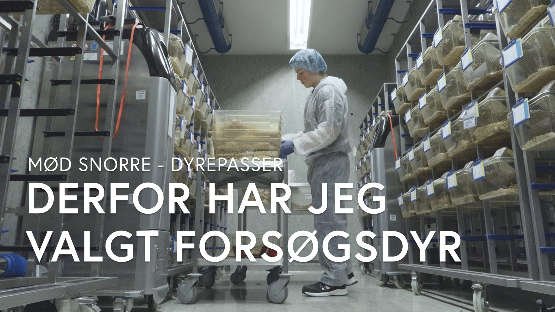 Snorre Uddanner Sig Til Dyrepasser On Vimeo