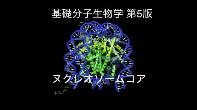 【見本】基礎分子生物学(第5版) 立体構造動画