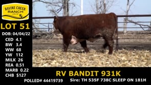 Lot #51 - RV BANDIT 931K