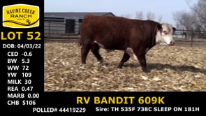 Lot #52 - RV BANDIT 609K