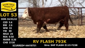 Lot #53 - RV FLASH 793K