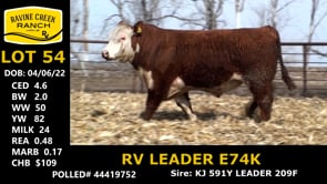 Lot #54 - RV LEADER E74K