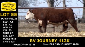 Lot #55 - RV JOURNEY 412K
