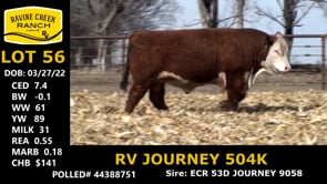 Lot #56 - RV JOURNEY 504K