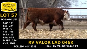 Lot #57 - RV VALOR LAD 046K