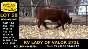Lot #58 - RV LADY OF VALOR 372L