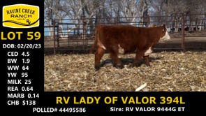 Lot #59 - RV LADY OF VALOR 394L