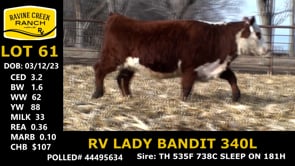 Lot #61 - RV LADY BANDIT 340L