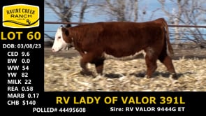 Lot #60 - RV LADY OF VALOR 391L