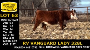 Lot #63 - RV VANGUARD LADY 328L