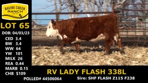 Lot #65 - RV LADY FLASH 338L