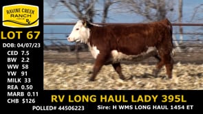 Lot #67 - RV LONG HAUL LADY 395L