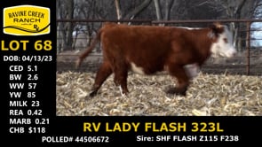 Lot #68 - RV LADY FLASH 323L