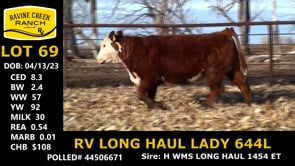 Lot #69 - RV LONG HAUL LADY 644L